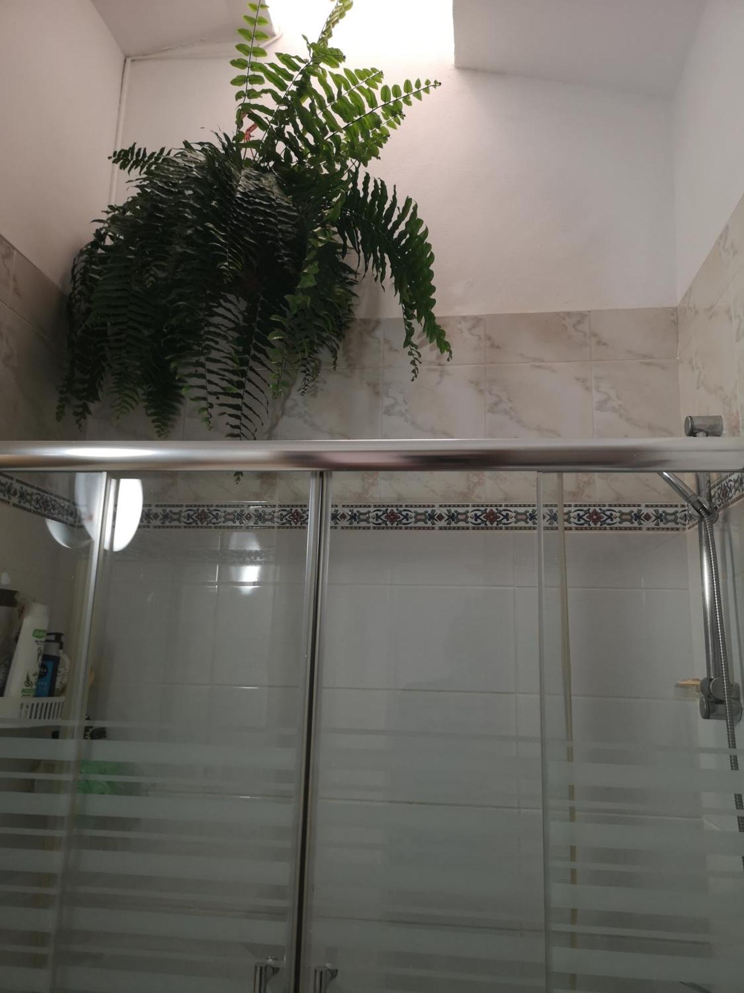 Yumbo Room Μασπαλόμας Εξωτερικό φωτογραφία