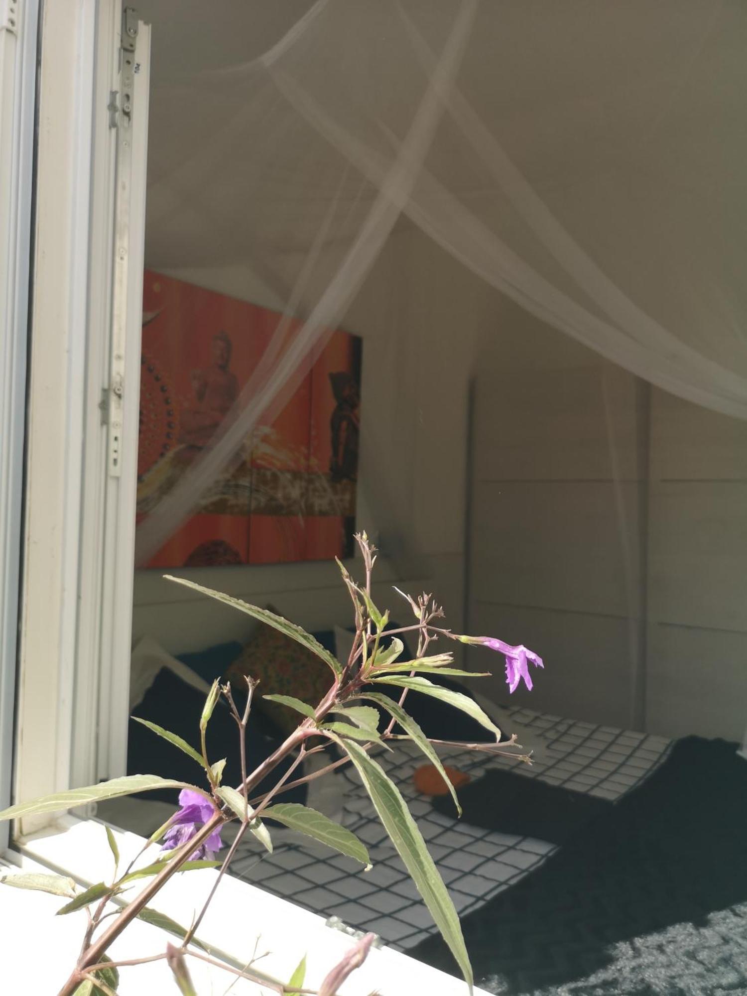 Yumbo Room Μασπαλόμας Εξωτερικό φωτογραφία